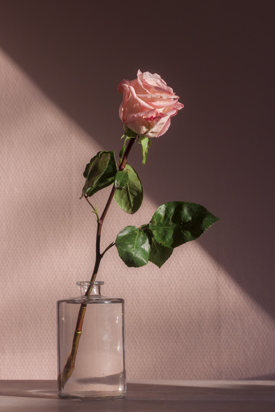 Love & Romance